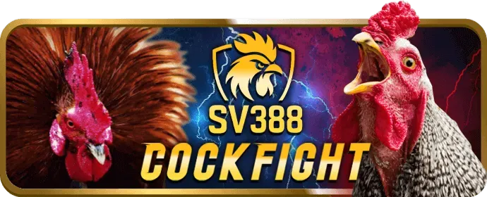 Sai lầm bắn cá bừa bãi